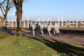 Geen titel