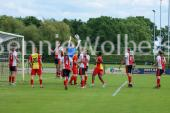 Geen titel