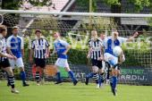 Geen titel