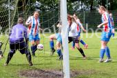 Geen titel